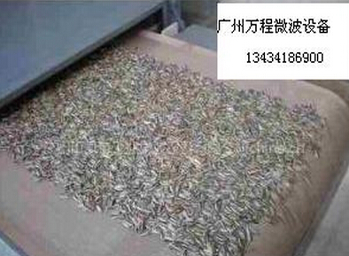 微波堅果內(nèi)干燥設(shè)備